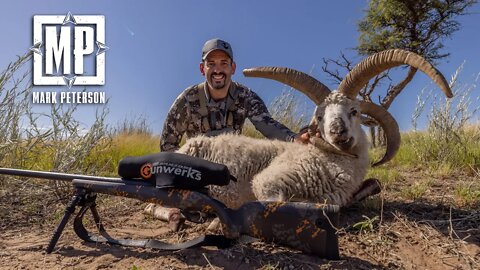 Hunting 4 Horn Ram in Argentina | Mark V. Peterson Hunting