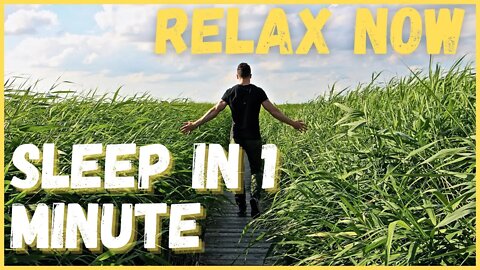 Relaxing music. SLEEP IN 1 MINUTE. Rest, meditate, study, relax!
