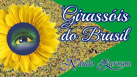 Girassóis do Brasil (canção) - Nando Zurcson