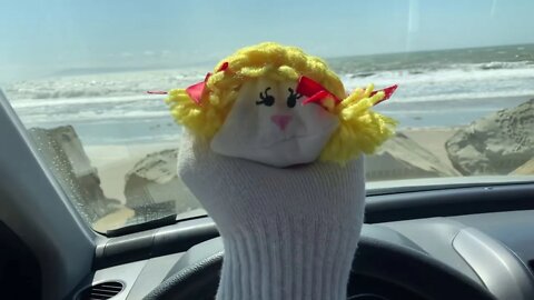 Married sex in a car at the beach. Failed orgasm for Puppet Wife.