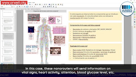 MAC-cinated: Intra-body nano-network