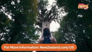 Tourism New Zealand | Morning Blend