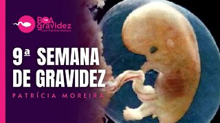 9 SEMANAS DE GRAVIDEZ - Gravidez Semana a Semana com Patrícia Moreira