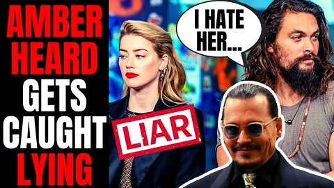 Amber Heard LIED In Court! | DC Films Walter Hamada DESTROYS Aquaman 2 Claim, Say She's Terrible!
