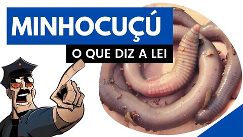 Dúvidas Frequentes sobre Criação de Minhocas (Profissional e Amadora) | Minhocas Belo Horizonte