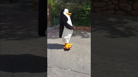 Madagascar Dancing Penguin #shorts