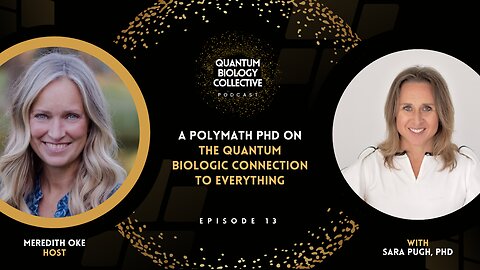 A Polymath PhD On The Quantum Biologic Connection To Everything