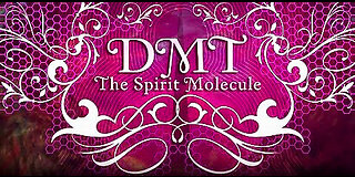 DMT: The Spirit Molecule 2012 Full Documentary HD