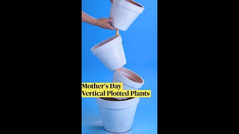 How to make mother's day vertical plotted plants