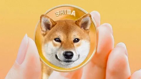 Shiba Inu Investors Alert! 🚨🐕 SHIBA INU FINAL WARNING Update! #ShibaInuNews