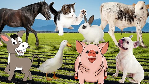 Farm Animals playing: horse, rabbit, cow, duck, chicken, elephant, donkey, sheep, goat, pig, cat