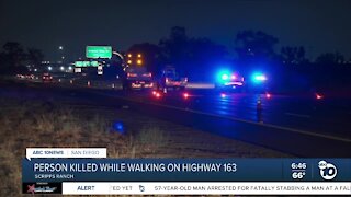 Person walking on SR-163 hit by vehicle, killed