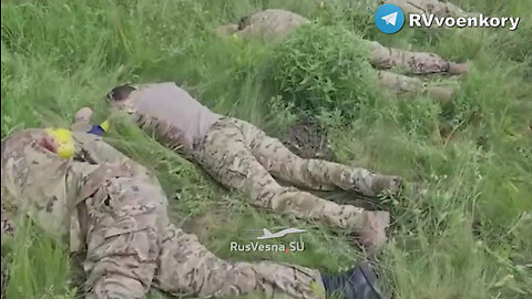 Belgorod: Russian forces destroyed a group of Ukrainian DRG special unit