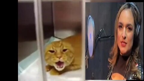 A Cat Or Thunder Rosa: Who Sings Better?