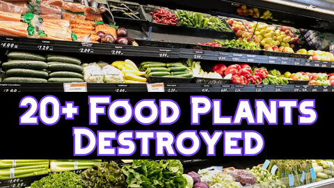 20+ Food Plants Destroyed! Urgent Food Warning ⚠️ - Food under Attack - Food Riots - Price Hikes