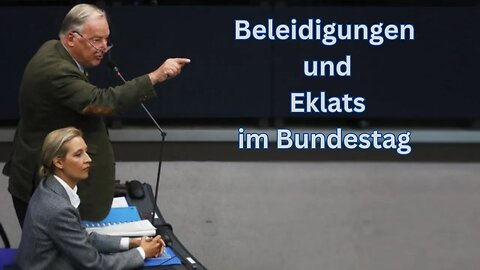 Beleidigungen und Eklats im Bundestag