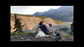 Solo CAMPING. Tent - Dogs - Mountains - Wildlife