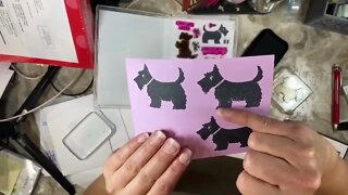 Tip Tuesday with Cards by Christine - Conditioning Stamps