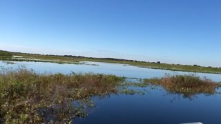 Everglades boating