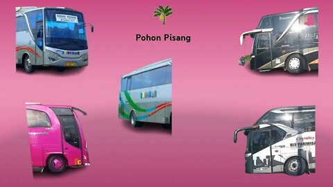 Menebak Kepala Mobil Bus