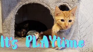 It is PLAYtime!