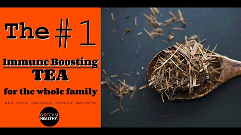 Natural Immune Boosting Tips for the Whole Family! Check out these Immune Secrets Inside!