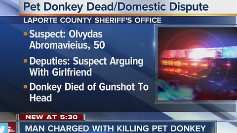 Man facing charges for killing donkey during domestic dispute