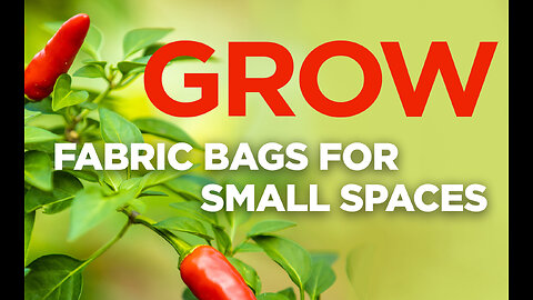 Grow Food in Small Spaces - EASY to use Canvas Bags