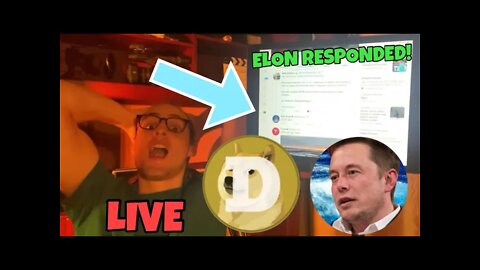 Elon Musk Responds To My Dogecoin Tweet During Live (I Freaked Out!)