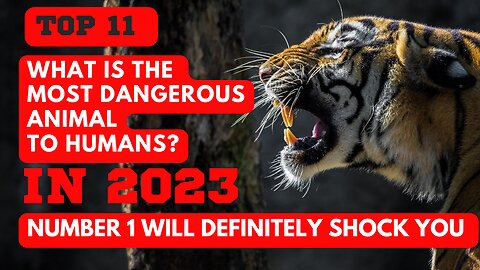 what is the most dangerous animal in 2023?(number 1 will shock you)