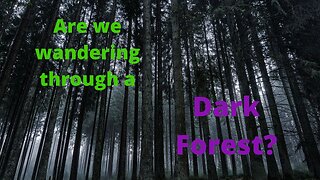 Are we wandering through a Dark Forest?