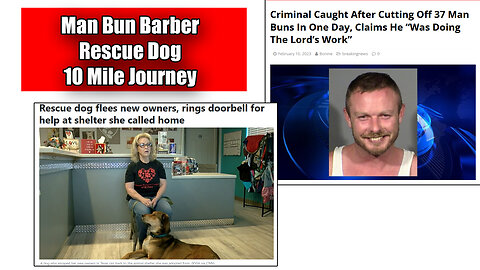 Man Bun Barber Charged In LA -- Rescue Dog 10 Mile Trek Back To Shelter