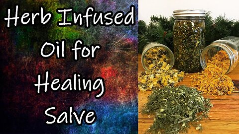 Herb Infused Oil for Healing Salve