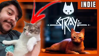 STRAY - SAIU O JOGO INDIE DO GATINHO - JOGO DO ANO?? - #PC #PS4