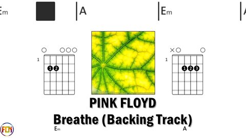 PINK FLOYD Breathe Backing Track FCN GUITAR CHORDS & LYRICS