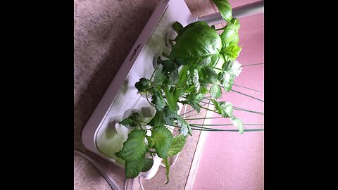 Vegebox Hydroponics Growing System - Indoor Herb Garden, Smart Garden Starter Kit with LED Grow...