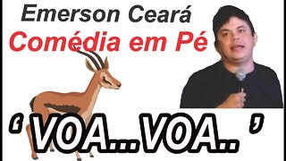 Comédia em Pé - Voa Voa