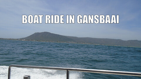 Boat ride in Gansbaai 2