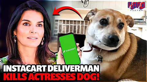 Instacart Apologizes After Deliveryman Kills Angie Harmon's Dog!