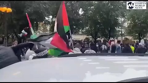 israelitas hebreus negros e manifestantes pró-Palestina