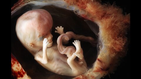 Human Development in Womb