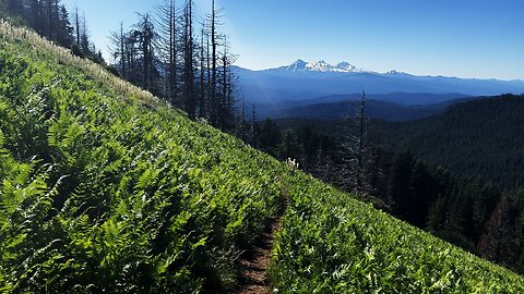 The EPIC Summit Overlook & "The Sound of Music" Style Hiking! | 4K | Crescent Mountain | Oregon