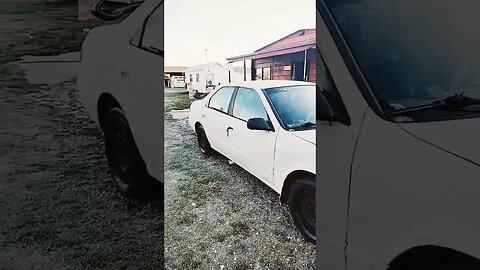 I'm repainting my 1999 Toyota Camry- primer is done, a bit more sanding and some body work