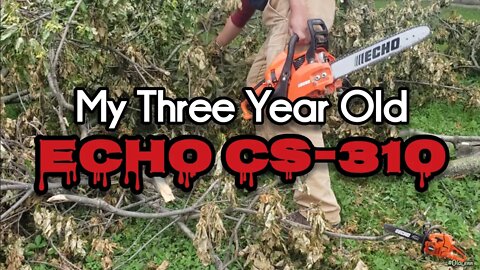My Three Year Old Chainsaw • Echo CS-310