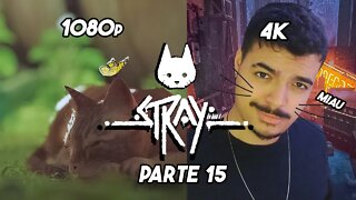 O JOGO DO GATO - Stray- PARTE 15