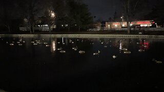 Halls pond at night