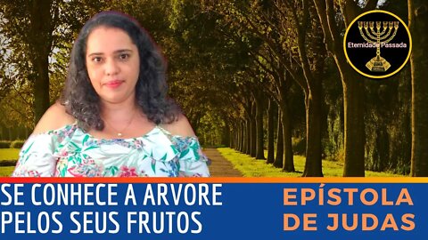 Se conhece a arvore pelos seus frutos | Eternidade Passada |