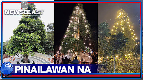 Endangered Almaciga tree sa boundary ng Pangasinan at Nueva Vizcaya, pinailawan na