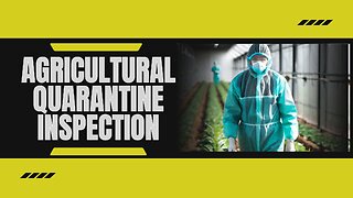 Agricultural Quarantine Inspection (AQI) and its Impact on Importer Security Filing (ISF)