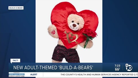 Fact or Fiction: Build-A-Bear launches 'after dark' series of stuff bears for adult